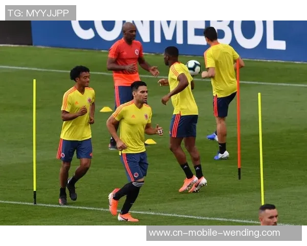 2019年法国U20对阵阿根廷U20精彩回顾与赛后分析