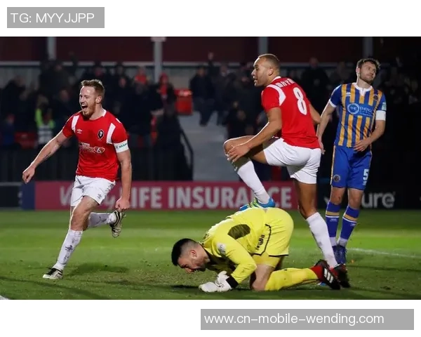 朴茨茅斯与什鲁斯伯里对决赛果分析及精彩瞬间回顾 朴茨茅斯与什鲁斯伯里对决赛果分析及精彩瞬间回顾